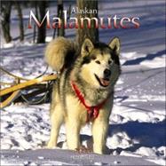 Alaskan Malamutes 2006 Calendar
