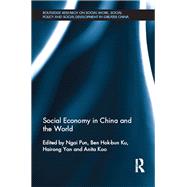 Social Economy in China and the World