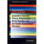 Geometric Invariant Theory, Holomorphic Vector Bundles and the Harder-Narasimhan Filtration