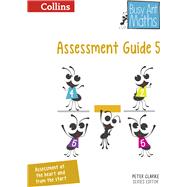 Busy Ant Maths — Assessment Guide 5