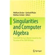 Singularities and Computer Algebra