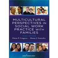Multicultural Perspectives in Social Work Practice With Families