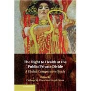 The Right to Health at the Public/Private Divide