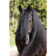 Black Frisian Horse Portrait Journal