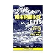 The Vulnerability of Cities