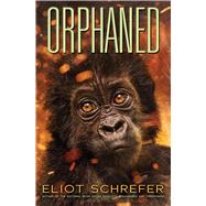Orphaned (Ape Quartet #4)