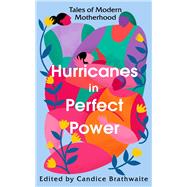 Hurricanes in Perfect Power Tales of Modern Motherhood