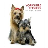 Yorkshire Terriers 2011 Calendar