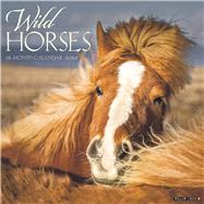 Wild Horses 2020 Calendar