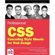 Professional CSS
