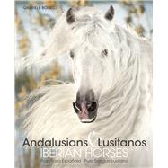 Andalusians & Lusitanos Iberian Horses