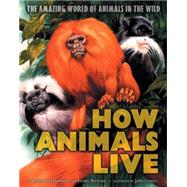 How Animals Live Amazing World of Animals in the Wild, The