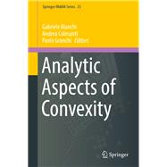 Analytic Aspects of Convexity