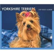 Yorkshire Terriers 2009 Calendar