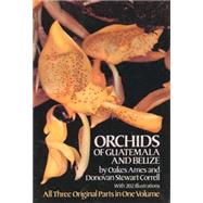 Orchids of Guatemala and Belize