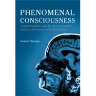 Phenomenal Consciousness