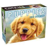 Puppies 2020 Calendar