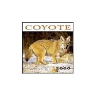 Coyote 2000 Calendar