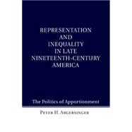 Representation and Inequality in Late Nineteenth-century America