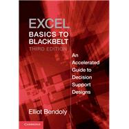 Excel Basics to Blackbelt