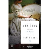 Amy Snow A Novel