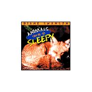 Animals Can Be So Sleepy