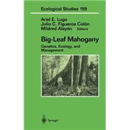 Big-Leaf Mahogany