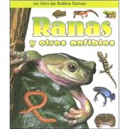 Ranas Y Otros Anfibios/ Frogs and Other Amphibians