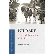 Kildare The Irish Revolution, 1912-23,9781846828379