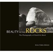 Beauty in the Rocks
