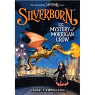 Silverborn: The Mystery of Morrigan Crow book cover, ISBN 9780316348393