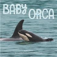 Baby Orca