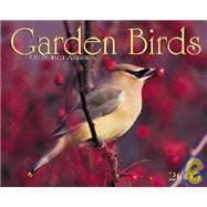 Garden Birds 2005 Calendar: Of North America