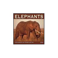 Elephants 2000 Calendar