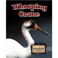 Whooping Cranes