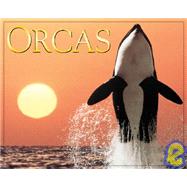 Orcas 2005 Calendar