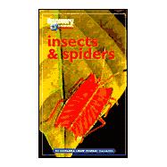Discovery Channel: Insects & Spiders