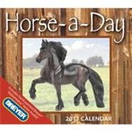 Horse-a-day 2011 Calendar