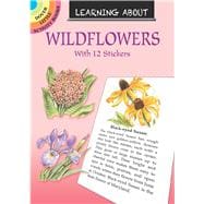 Learning About Wildflowers