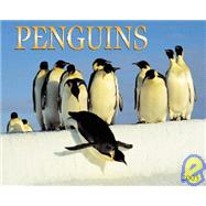 Penguins 2005 Calendar