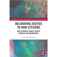 Delivering Justice to Non-Citizens