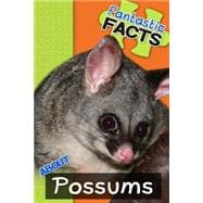 Fantastic Facts About Possums