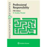 Examples & Explanations for  Professional Responsibility
