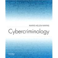 Cybercriminology