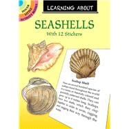 Learning About Seashells