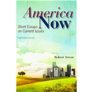 America Now Short Essays on Current Issues