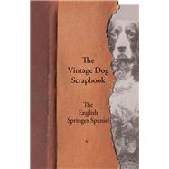 The Vintage Dog Scrapbook - The English Springer Spaniel