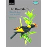 The Bowerbirds Ptilonorhynchidae