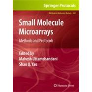Small Molecule Microarrays