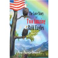 The Love Story of Two Amazing Bald Eagles